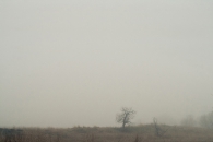 Как фотографировать туман