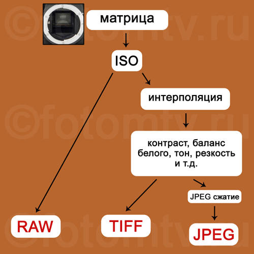 Особенности JPG, RAW и TIFF форматов